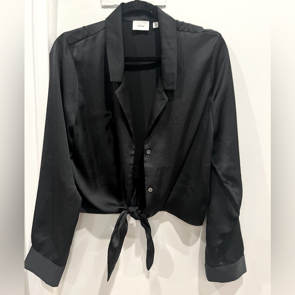 Aritzia Wilfred Long Sleeve Silk Button Up